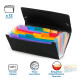 Mape-kartotēka Viquel Rainbow 26x13.5mm, ar gumiju, 12 nodalījumi, melna
