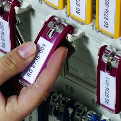 Võtmelipikud Durable Big Pack, 24 tk,erivärvid