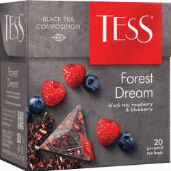 Melnā tēja TESS PYRAMIDS Forest Dream (20)