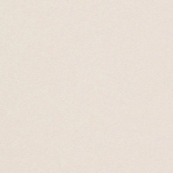 Aploksnes CURIOUS Metallic, Virtual Pearl (20)
