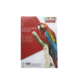 Krāsains papīrs College A4, 80g/m², 120 loksnes, 6 toņi