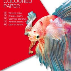 Бумага KPF College A4 Пастель 60л