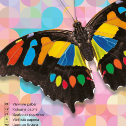 Цветная бумага College "College", Multicolor, Двусторонняя