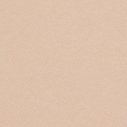 Дизайнерская бумага Curious "Metallics Nude", Nude, Мерцающий металлик