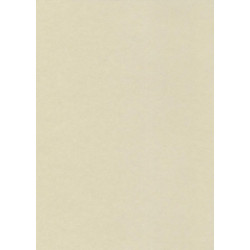 Dekoratīvais kartons Kreska A4, 230g/m², 10 loksnes, W73 Smooth Pearl