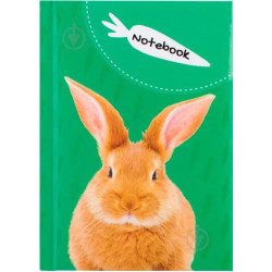 Klade cietos vākos CFS WILD SPIRIT RABBIT A6 (80)