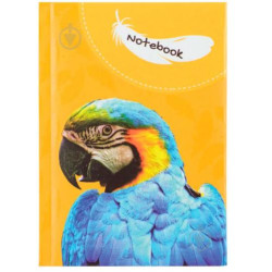 Klade cietos vākos CFS WILD SPIRIT PARROT A6 (80)