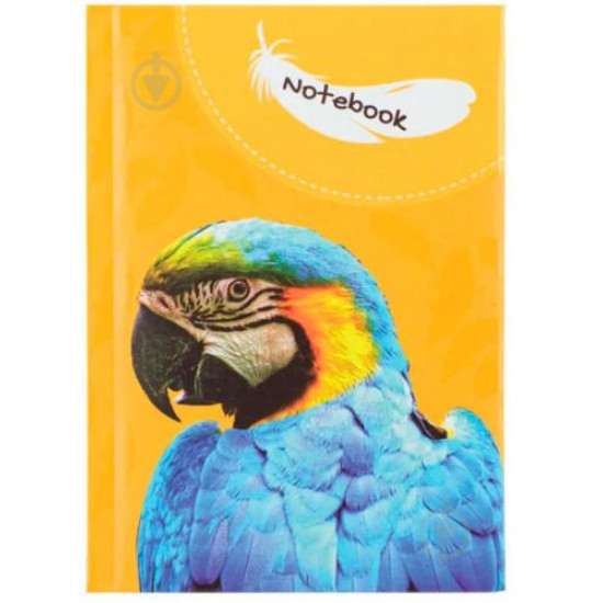 Klade cietos vākos CFS WILD SPIRIT PARROT A6 (80)