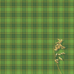 *Līniju klade Kreska A4, 96 lapas, cietos vākos