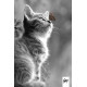 Тетрадь College Premium A5 80л 5х5 клетка