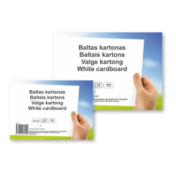 Balta kartona loksnes SM-LT, A4 (10), 300g/m2