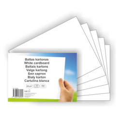 Balta kartona loksnes SM-LT, A4 (10), 300g/m2