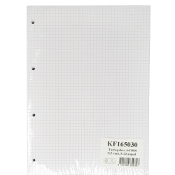 Rūtiņu papīrs College A4, ar perforāciju, 100 loksnes