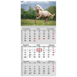 Sienas kalendārs College Trio 2026 nr.1