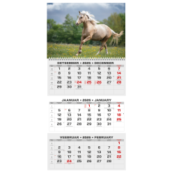 Sienas kalendārs College Trio 2026 nr.1