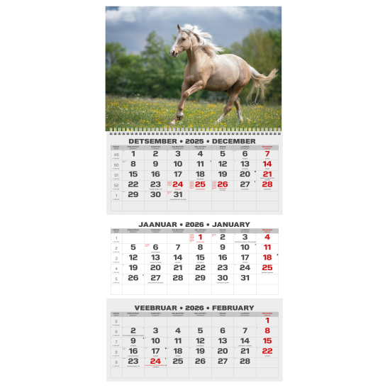 Sienas kalendārs College Trio 2026 nr.1