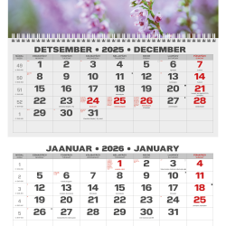 Sienas kalendārs College Trio 2026 nr.2