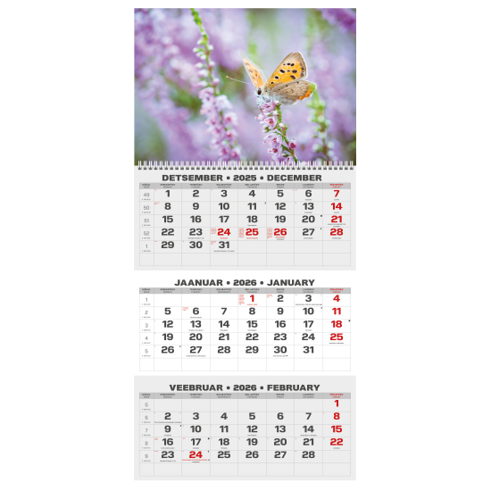 Sienas kalendārs College Trio 2026 nr.2