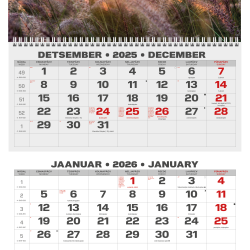 Sienas kalendārs College Trio 2026 nr.3