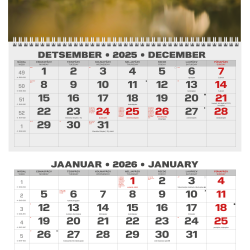 Sienas kalendārs College Trio 2026 nr.4