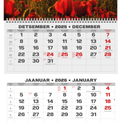 Sienas kalendārs College TRIO Pludmale 2025 nr.PM501-5