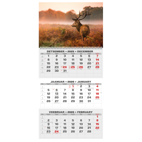 Sienas kalendārs College TRIO Lapsas 2026 nr.PM501-6