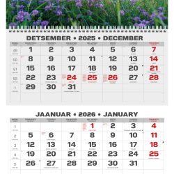 Sienas kalendārs College TRIO Mežs 2026 nr.PM501-7