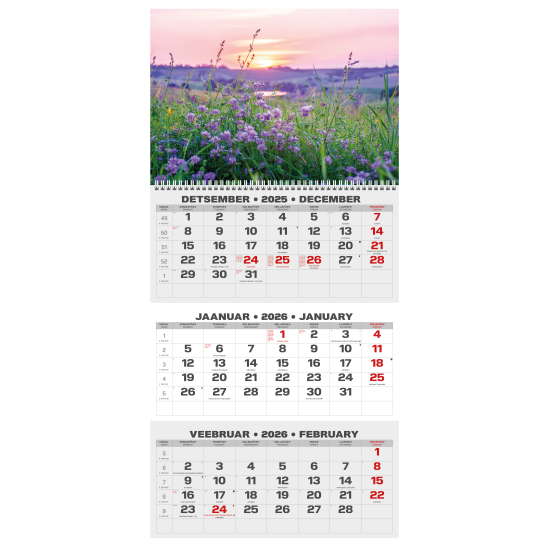 Sienas kalendārs College TRIO Mežs 2026 nr.PM501-7