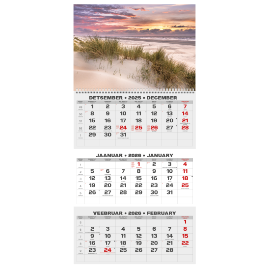 Sienas kalendārs College TRIO Auto 2026 nr.PM501-9