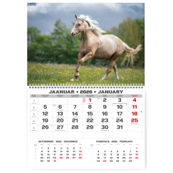 Sienas kalendārs College UNO 2025 nr.PM500-1, Ezers