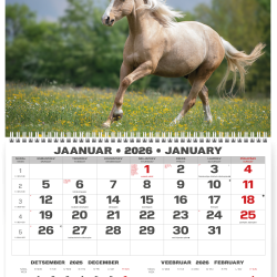 Sienas kalendārs College UNO 2025 nr.PM500-1, Ezers