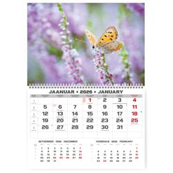 Sienas kalendārs College UNO 2025 nr.PM500-2, Kaķi