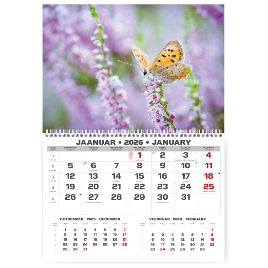 Sienas kalendārs College UNO 2025 nr.PM500-2, Kaķi