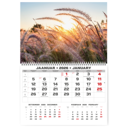 Sienas kalendārs College UNO2025 nr.PM500-3, Suns