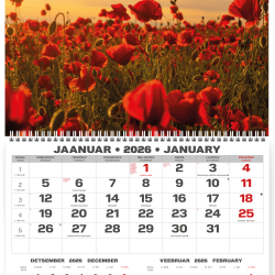 Sienas kalendārs College UNO 2025 nr.PM500-5, Pludmale