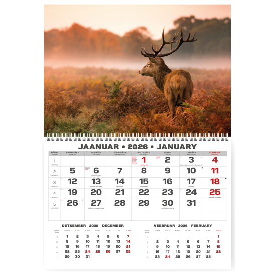 Sienas kalendārs College UNO 2025 nr.PM500-6, Lapsas