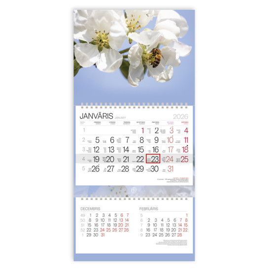 Sienas kalendārs Solo Ziedi