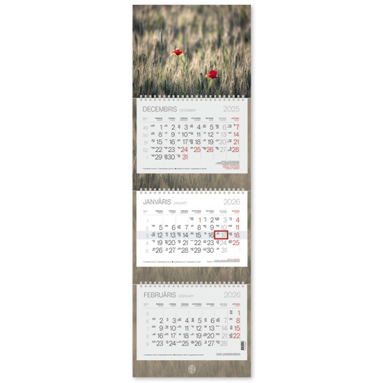 Sienas kalendārs Trio Plus