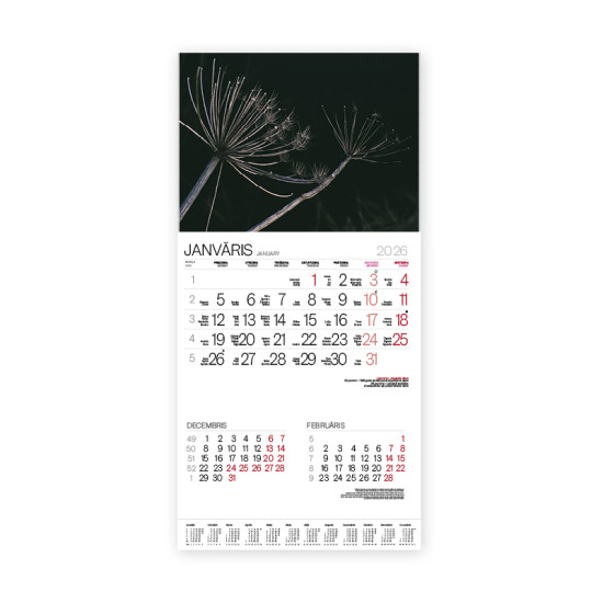 Sienas kalendārs Bonus Nr.9