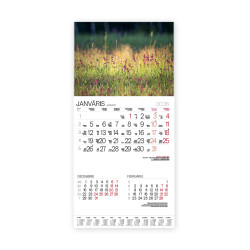 Sienas kalendārs Bonus Nr.12