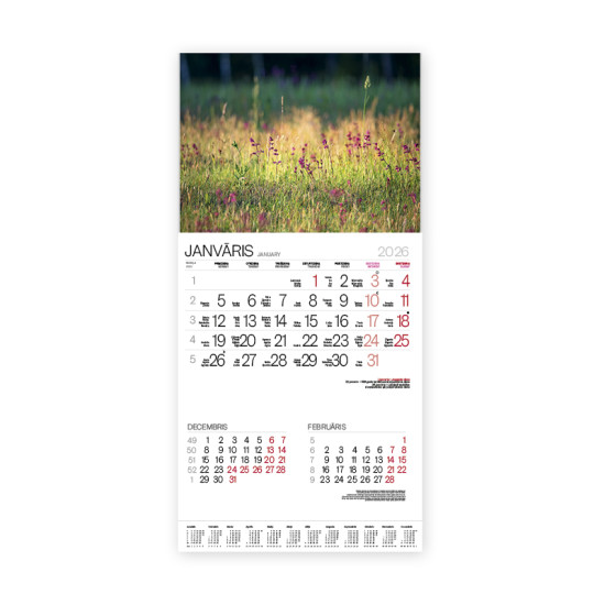 Sienas kalendārs Bonus Nr.12