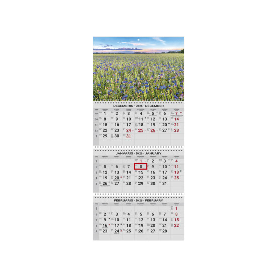 Sienas kalendārs Office Extra, Nr. 1