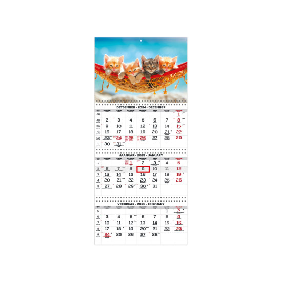 Sienas kalendārs Office Extra, Nr. 20