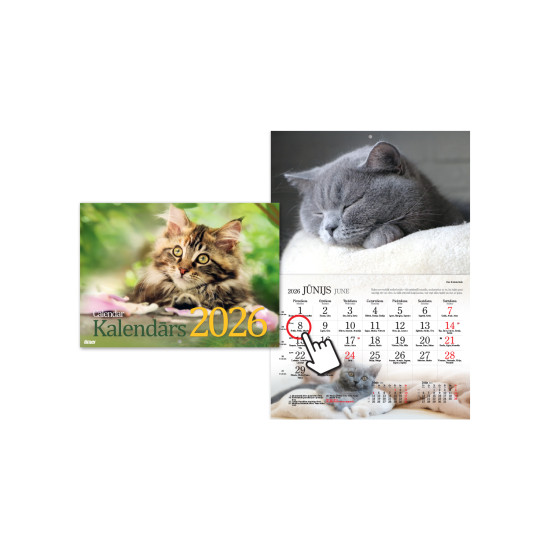 Sienas kalendārs Kaķi