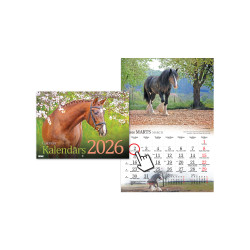 Sienas kalendārs Zirgi