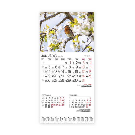 Sienas kalendārs Bonus Nr.15