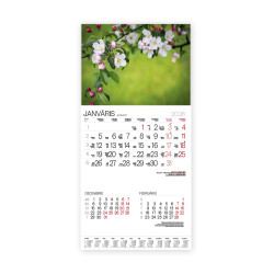 Sienas kalendārs Bonus Nr.13