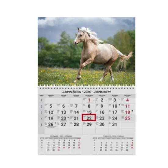 Sienas kalendārs College UNO 2026 nr.PM500-1