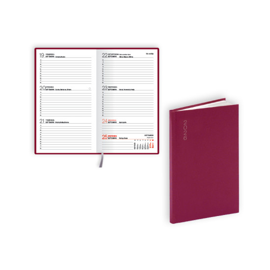 Kabatas plānotājs Pocket Flex, basis, nedēļas atvērums, bordo