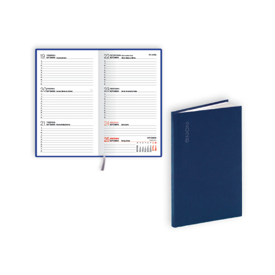 Kabatas plānotājs Pocket Flex, basis, nedēļas atvērums, zils